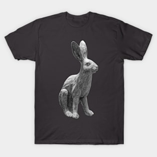 Hare Statue T-Shirt